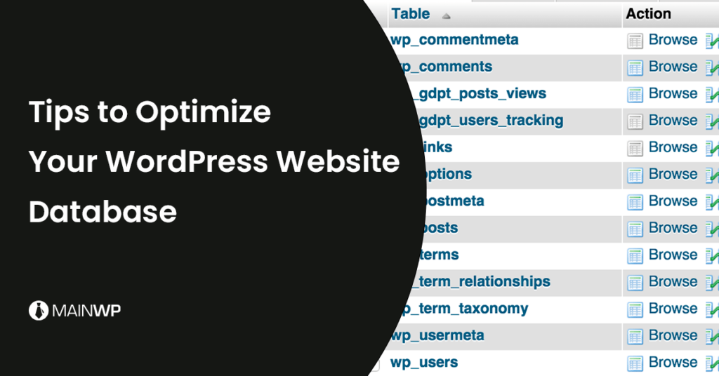 Featured image for Mengoptimalkan Database WordPress untuk Performa Maksimal